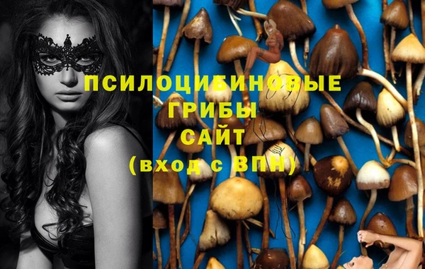 спайс Вяземский