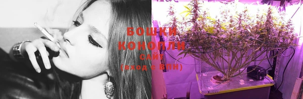 индика Вязьма