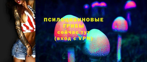 индика Вязьма