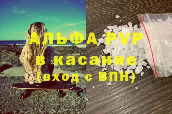 индика Вязьма