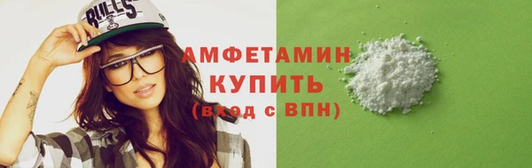 индика Вязьма