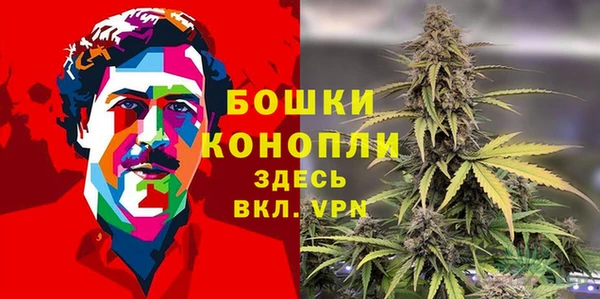 индика Вязьма