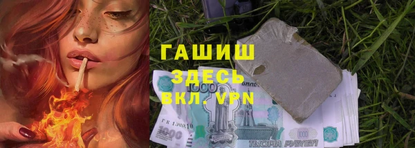 индика Вязьма