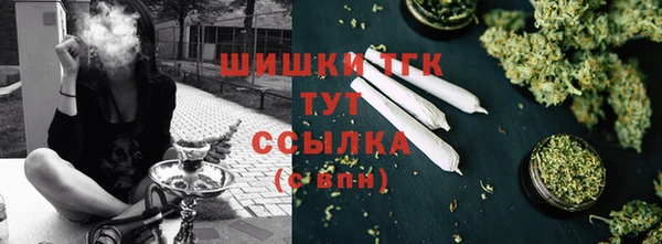 индика Вязьма