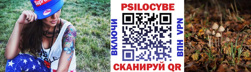 где можно купить   Печоры  Галлюциногенные грибы ЛСД 